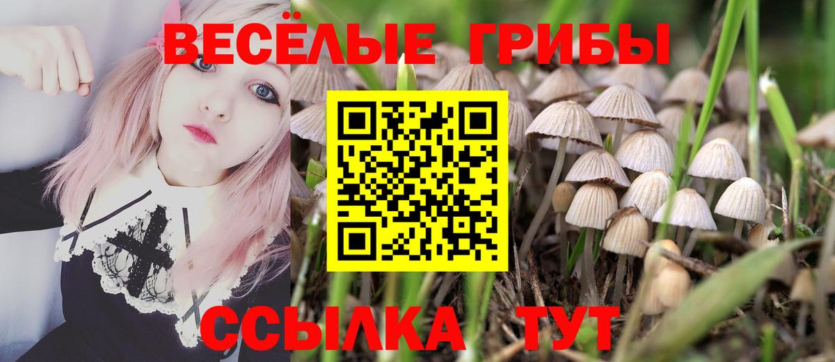 Галлюциногенные грибы GOLDEN TEACHER  Вход с VPN  Галлюциногенные грибы Magic Shrooms  Новокубанск 